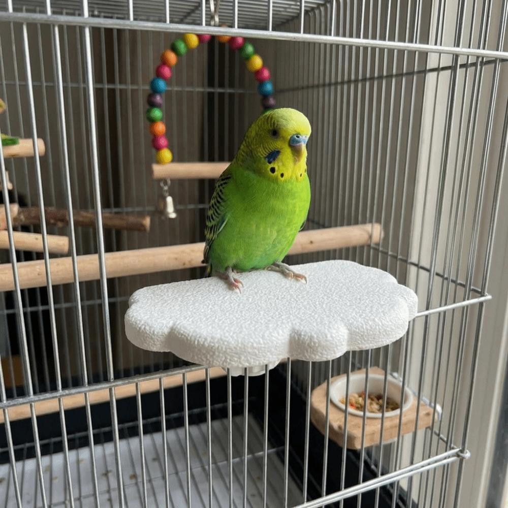 Wear Resistant Bird Resting Platform Cloud Shape Beak Grinding Stand Hopping Stand  Cockatiel