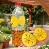 Reusable Wasp Trap Plastic Insect Funnel Killer Garden Pest Control Tool Hornet Bee Catcher  Garden