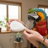 with 4 Polishing Heads Electric Parrot Nail Trimmer Portable Bird Nail Cutter  Bird Nail Care