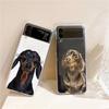 Dachshund Sausage Dog Fashion Phone Case For Samsung Galaxy Z Flip 3 4 5 6 7 Hard Folding Z Flip4 Clear PC Cover Protector Gift
