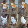 Fairy Garden Mini Owl Figurine Resin Simulation Birds Gift Mini Sculptures Decor