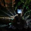 NuFeng Stainless Steel Lawn Post Lamp