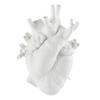 Xiaobudian Heart Shaped Flower Vases, Resin Vase, Creative Holder, Modern Art Style Decorative Vase for Home Wedding Valentine Gift Desktop