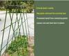 Garden Climbing Frame: Steel Plant and Flower Support for Vines on Balcony