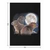 Drei Capybaras und Mond Lustiger Capybara Humor Parodie Tagesdecke Weihnachtsdekoration Weich für Babys Lose Decken