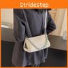 Stylish Chain Handbag 2024 New Trendy Design Triangle Rice Dumpling Bag Solid Color Single Shoulder Crossbody Bag