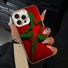 Morocco Flag Phone Case For iPhone 17,16,15,14,13,12,11 Plus,Pro Max,XS,white silver phone case