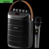 Edifier PK305 Portable Outdoor Karaoke Speaker