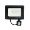 LED Induction Small Apple Floodlight 50W100W White Warm Light Outdoor Waterproof Human Body Infrared Induction PIR Floodlight