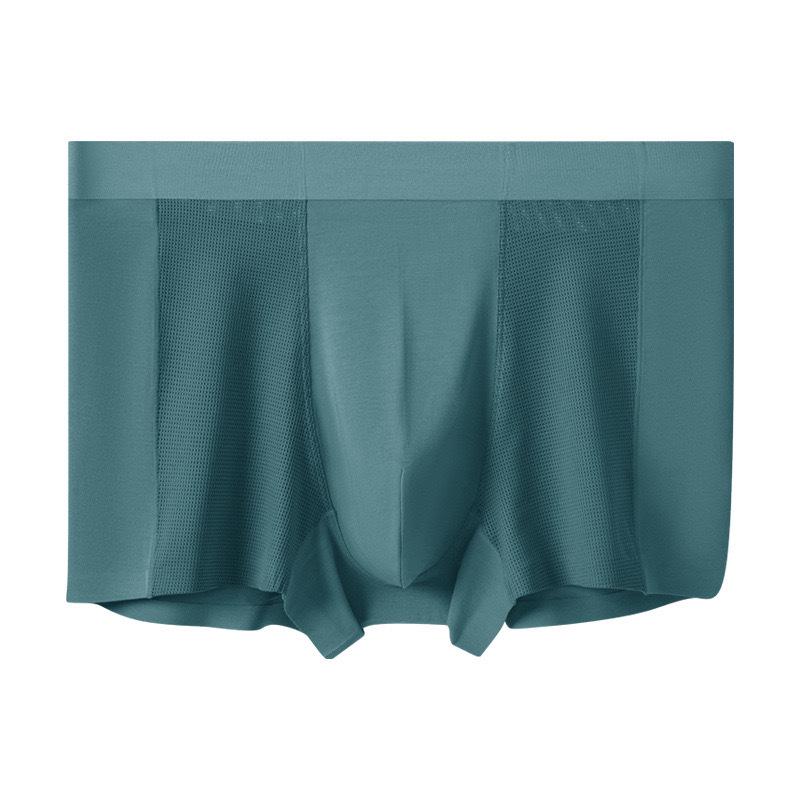 2026 Men's Antibacterial Ice Silk Seamless Boxer Briefs - Summer Thin Style