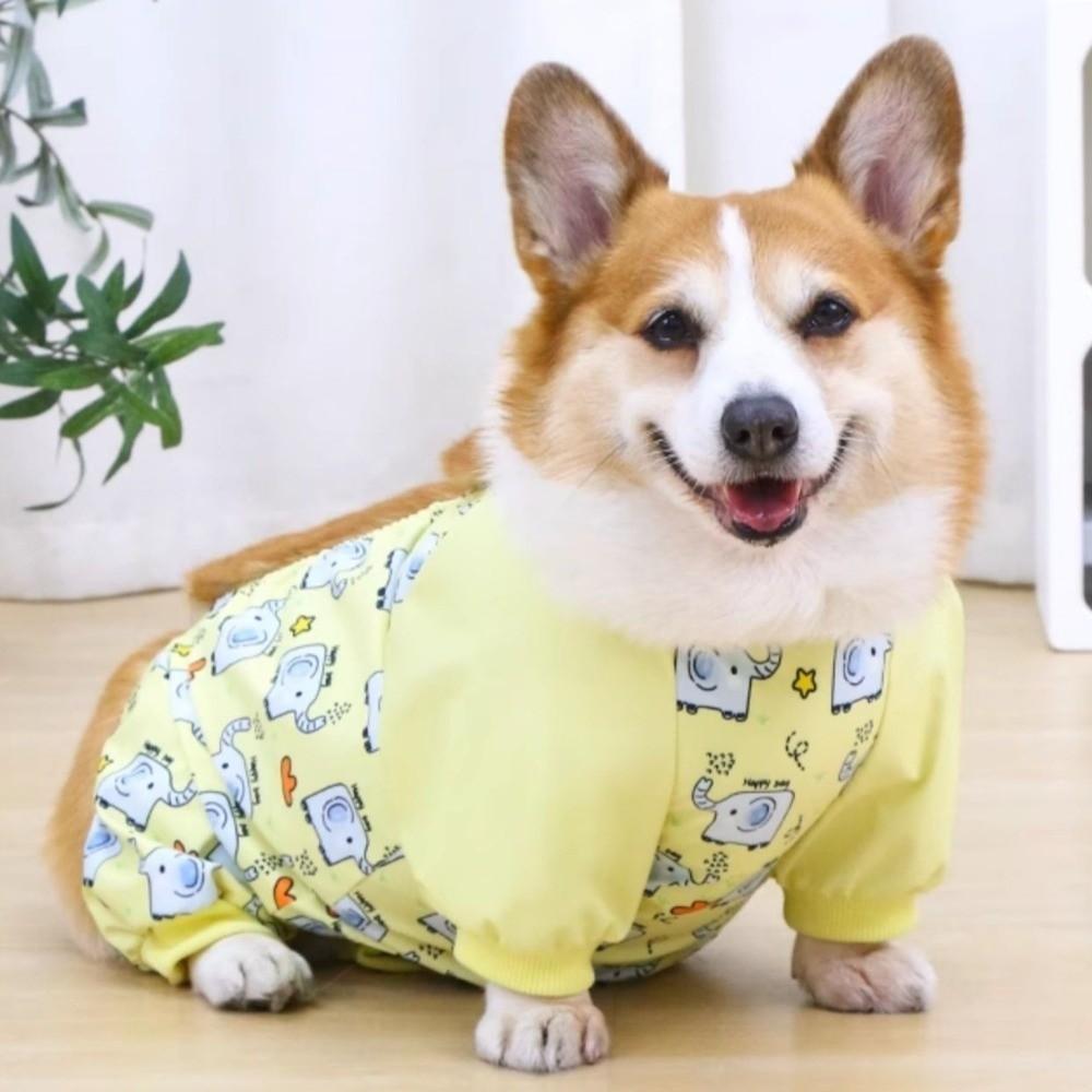 Anti-Slip Dog Dust-proof Clothing High-elasticity Pet Strolling Pants Dog Leg Protectors  Adventure