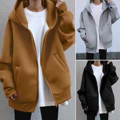 2025 herfst en winter nieuwe persoonlijkheid straat trui rits capuchon lange fleece trui