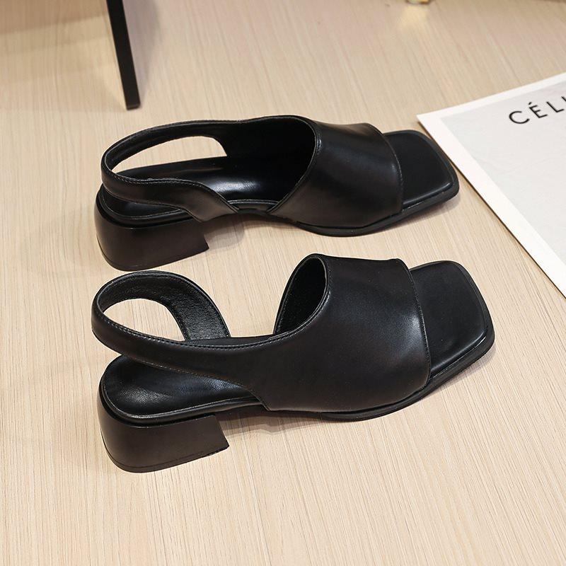 Summer cool slippers thick heel 2025 Rome new women's shoes square head black niche French retro sandals women