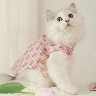 Kedi – Kediler için giyim
