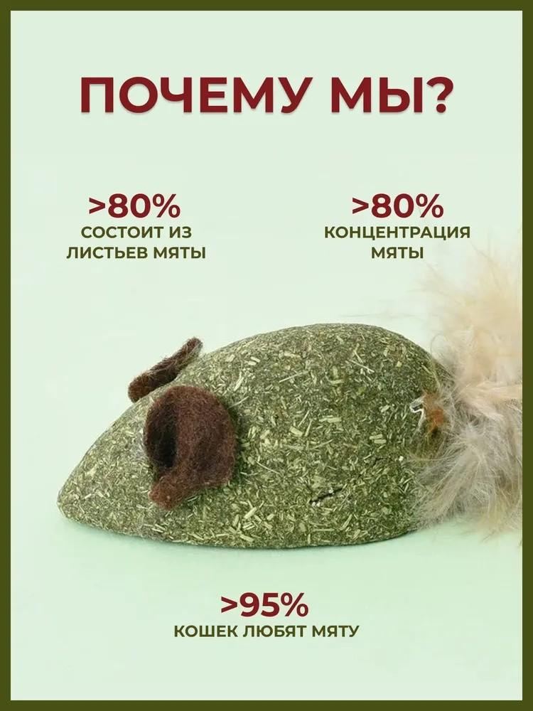 Pet Food Cat Snacks Catnip