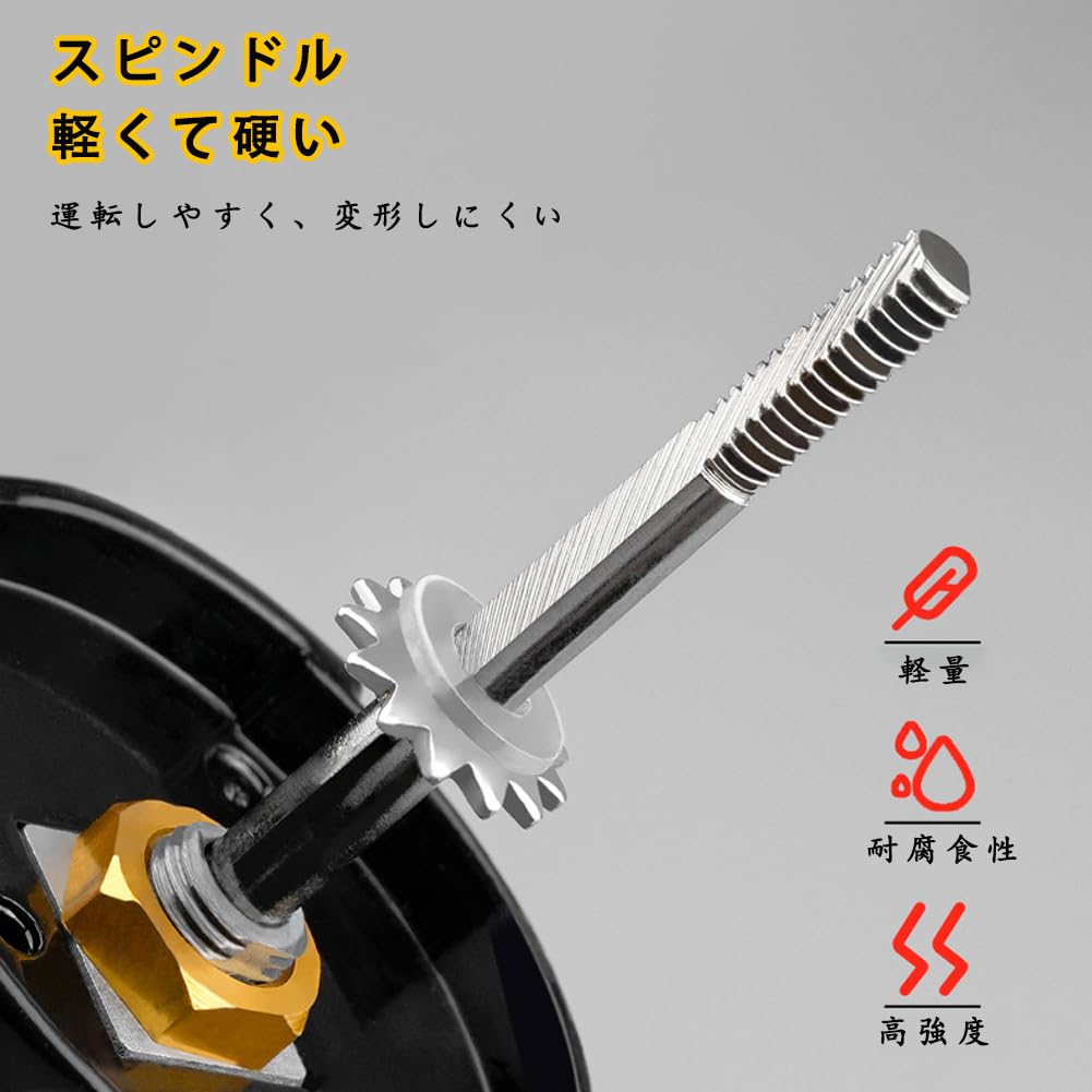 Angelrolle für das Meer Leicht und Stoßfest Max. Bremskraft 10kg HE-2000 Angeln, Weitwurf, Barsch, Seebarsch, Jigging, Langlebig, Widerstandsfähig,