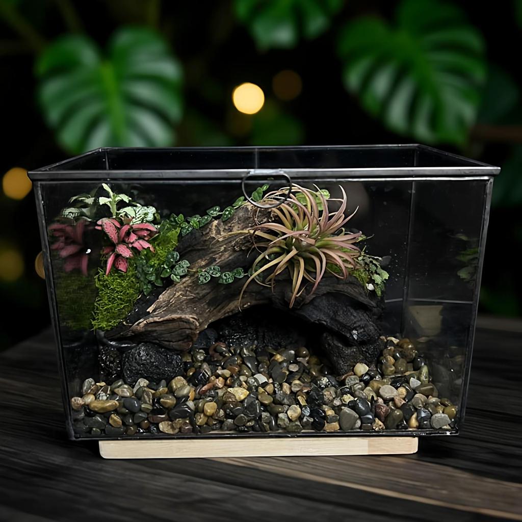 Miniature Rainforest Terrarium: Glass Greenhouse Vase for Succulents and Plants, European American Craft