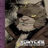 Les Tortues Ninja Mutantes L'Intégrale IDW Volume 12 par Tom Waltz Livre Relié 9781684057450