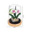 Exhibition Booth Brick Micro Diamond Block Flower Carnation Feverfew Lotus Kapok Jasmine Morning Glory Nanobrick Toys For Girls