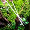 Aquatic Plant Tool Set: Stainless Steel Scissors, Carbon Black Tweezers, Poop Sucker, Fish Tank Cleaning Supplies