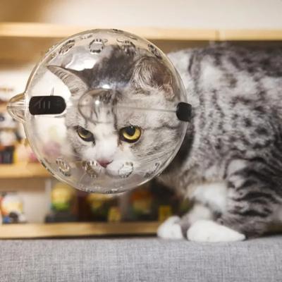 Nuevo Casco de Natación de Bola Protectora para Gatos de Alta Calidad, Elegante y Cómodo - Seguridad y Protección Definitivas Esenciales para Ti