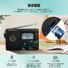 Retekess V115 Compact Shortwave Radio AM/FM/SW DSP Radio with REC Recording Function, Manual/ATS Automatic Tuning, Sleep Timer, Multifunctional Portab