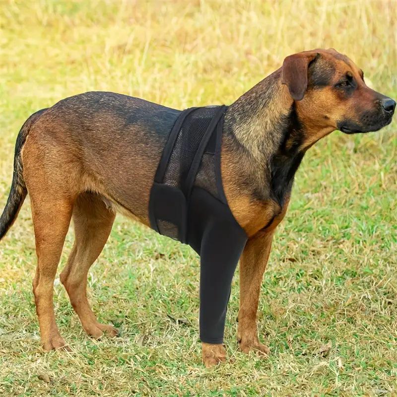 Wsparcie złamania nogi psa: Nakolanniki i pas pomocniczy do ochrony przedniej/tylnej części nóg