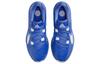 Nike Zoom Freak 5 Tb Game Royal DZ2946-400