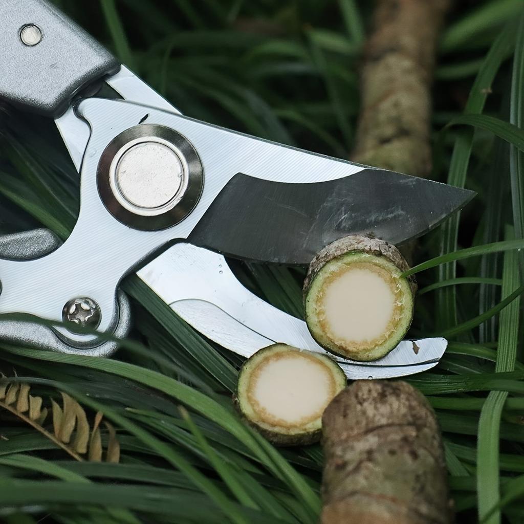 Stainless Steel Gardening Pruning Scissors with Ergonomic Design-manual Pruning Tools for Fruit Trees,flowers,and Plants,durable Metal Pruning Tools
