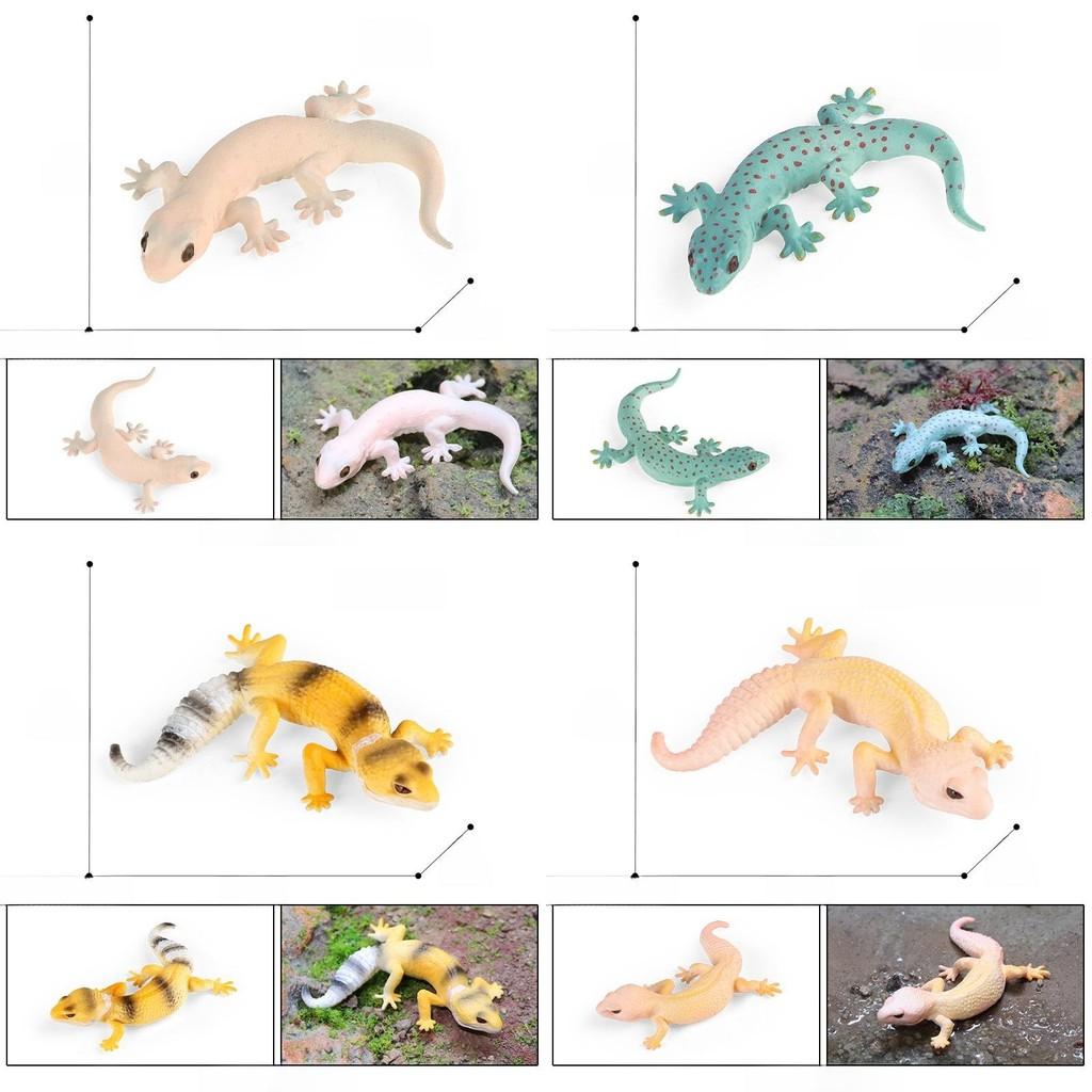 Children Realistic Lizard Animal Model Plastic Decor For Education And Play