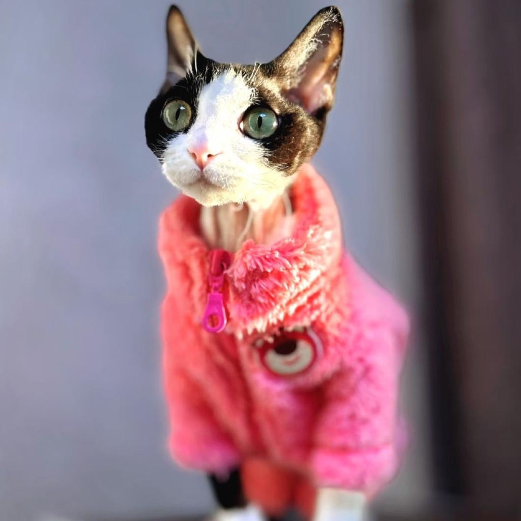 Fashion Sphynx Cat Pink Bear Fleece Sweater Hairless Cat Clothes Thick Warm 4-legged Coat Fleece Jumpsuit for Devon Rex