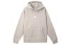 Nike Fleece Pullover Hoodie DH3088-009