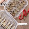 Food Storage Box Transparent with Lid PP Vegetables Seafood Fish Refrigerator Organizer Kitchen Tools