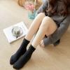 Thickened Autumn Breathable Solid Color Female Hosiery Plush Socks Middle Tube Socks Floor Socks