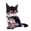 2023 New Pet Funny Cat Mask Costume Accessory For Halloween With Bat Design