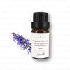 Aster Aroma - 100% Pure Essential Oil Organic Hyssop Hyssopus Officinalis