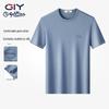 Goldlion Men's Cooling Silk Antibacterial Short Sleeve T-Shirt