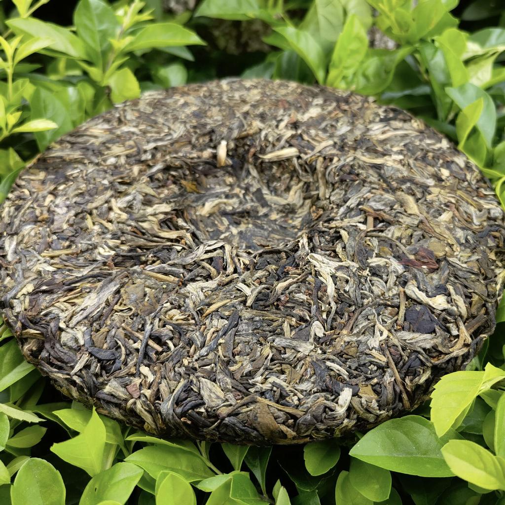 Yunnan Pu 'er Tea Origin Menghai Straight Batch Xi Guitou Spring Ancient Tree 357 Grams Pu 'er Tea Cake