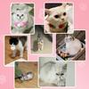 98pcs 3cm Colorful Plush Cat Teaser Toy Balls - Durable Chew Balls for Cat & Dog Training, Soft Pet for Indoor Play ZSY