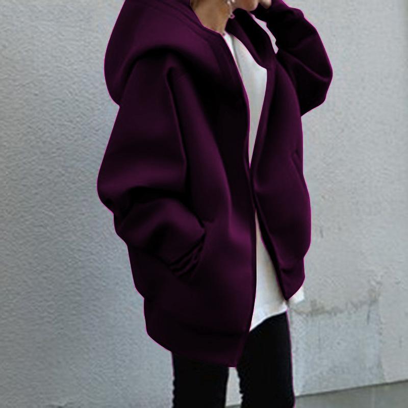 2025 Autumn and Winter New Personality Street Sweater Zipper Hooded Long Fleece Sweater