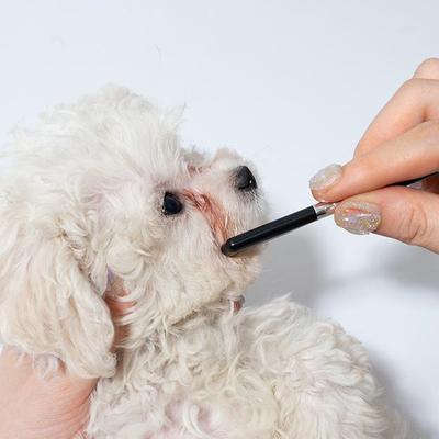 1/2Pcs Portable Pet Eye Comb Tear Stain Remover Brush Small Cat Puppy Grooming Comb Scissors Tools Pet Cleaning Accessories