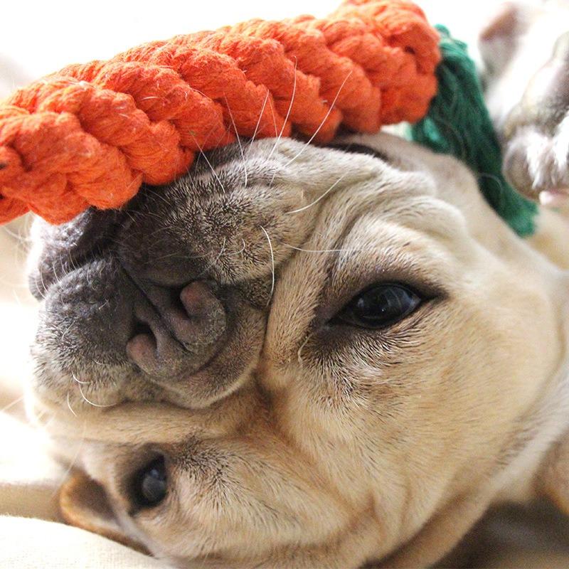 

Pet toys, dog toy products, bite-resistant woven cotton rope ball, pet dog grinding teeth and cleaning carrot rope Carrot + leaves, total length approximately 22cm