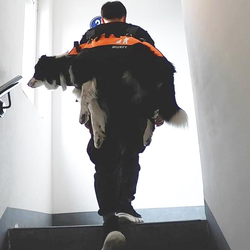 Pet Large Dog Backpack Multifunctional Airborne Bag Shoulder Strap Outdoor Walking Stretcher Disabled Dog Backpack.