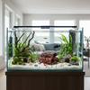 Simulation Shrimp Hiding Cave Tree Trunk Shape Fish Breeding Cave  Fish Tank Landscaping
