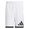 Basketball Badge Of Sport Shorts Men Shorts White JN4729