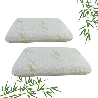 Set of 2 Bamboo Shape Memory Pillows