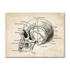 Wandbilder für Krankenhaus, Arzt, Büro, Dekor, Wandkunst, Leinwand, Malerei, Anatomie, Skelett, nordische Poster und Drucke, Vintage