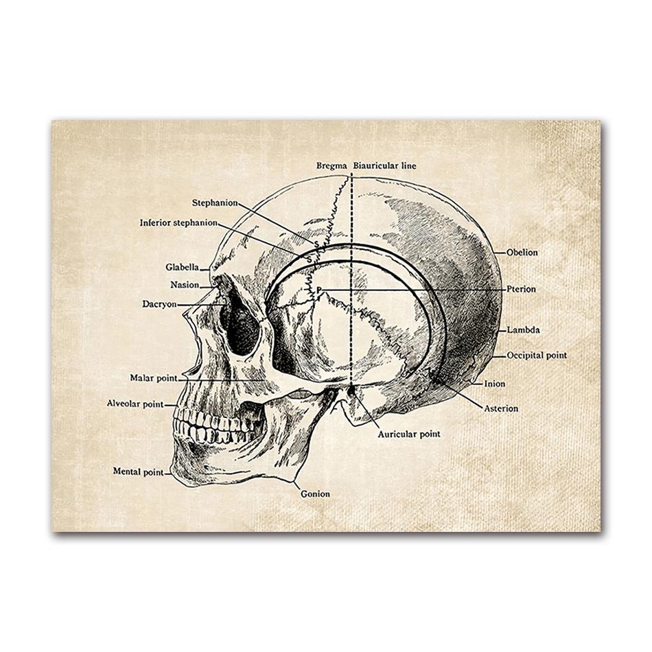Wandbilder für Krankenhaus, Arzt, Büro, Dekor, Wandkunst, Leinwand, Malerei, Anatomie, Skelett, nordische Poster und Drucke, Vintage