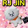 [USED] BT21 RJ JIN Plush Toy, 18cm, with Tag, Anonymous Shipping