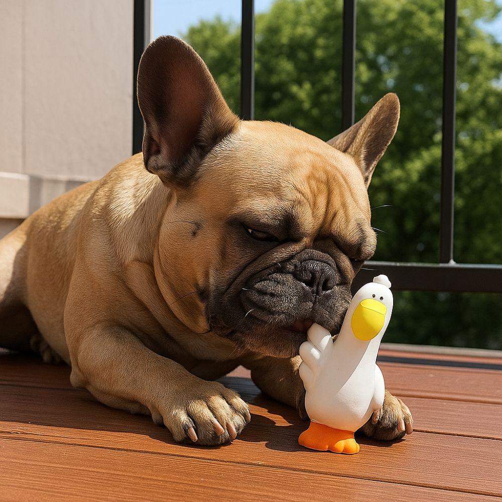 Cartoon Pet Latex Toys Pelican Shape Squeaky Dog Toys Funny Teeth Grinding Toys  for Cats and Dogs